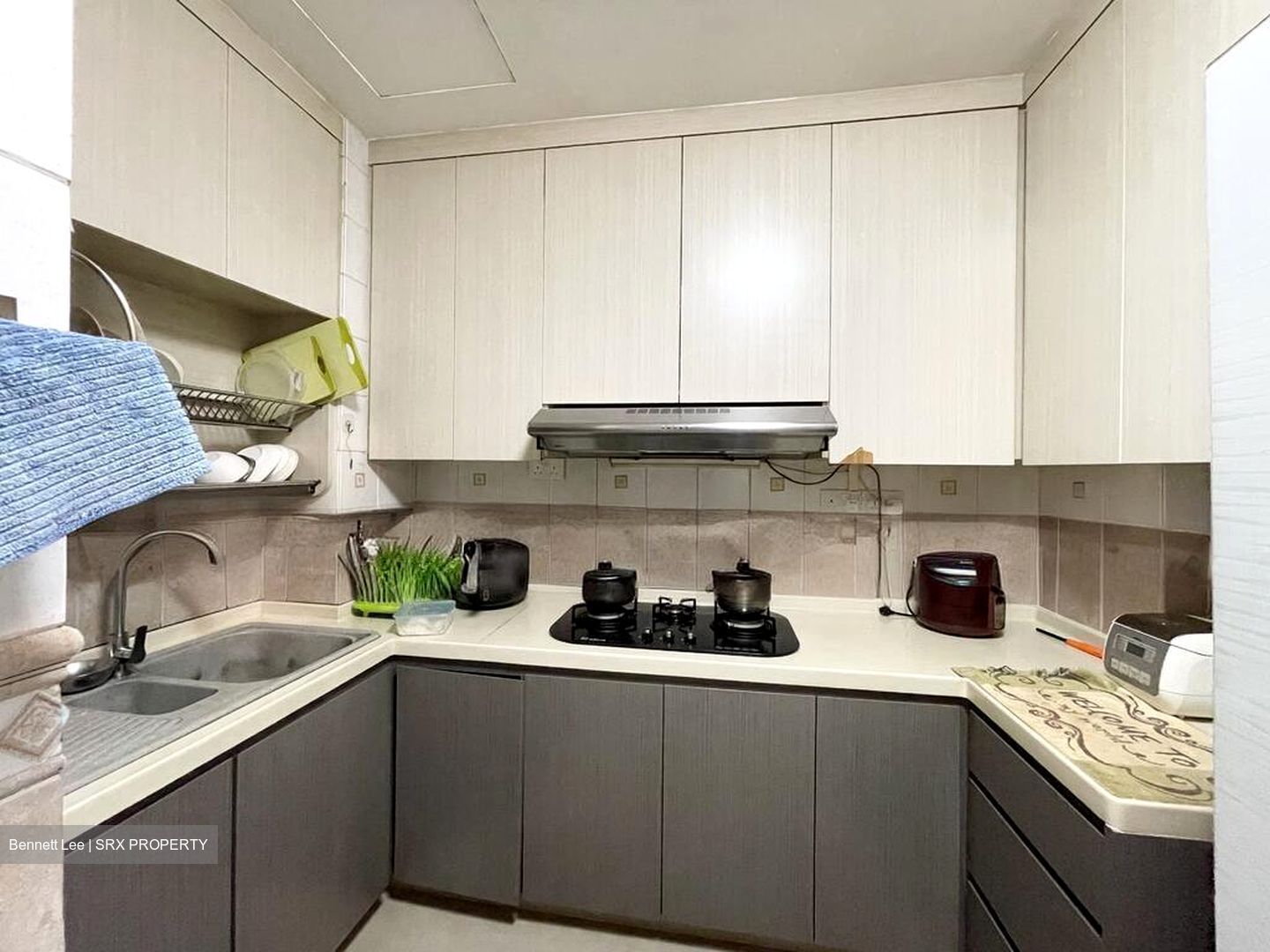 Regent Park (D5), Condominium #498377981